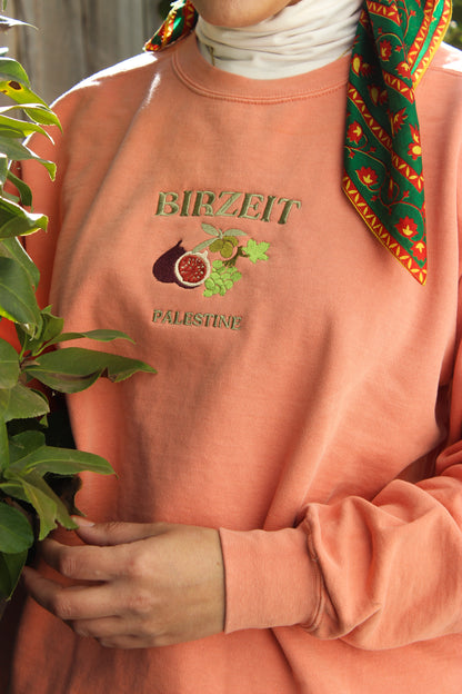 CUSTOM Baladi Crewneck- Fruits of Palestine Symbol