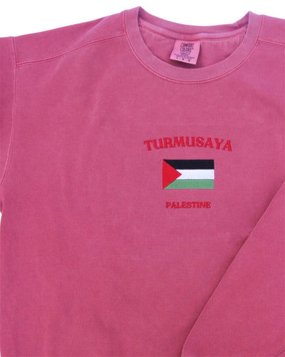 CUSTOM Baladi Crewneck- Flag Symbol